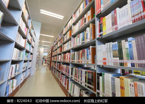 网大排名500+,百强录取照样能拿! 网大排名500+,百强录取照样能拿!