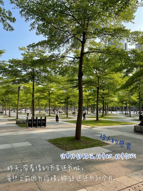 揭秘意大利留学的真实情况及费用解析