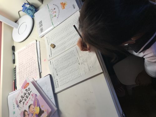 法律硕士联考 法律硕士联考