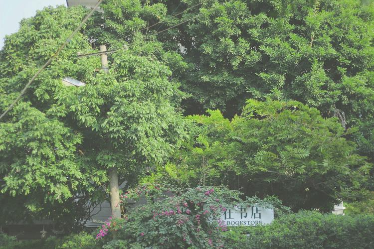 世乒赛2025男单决赛