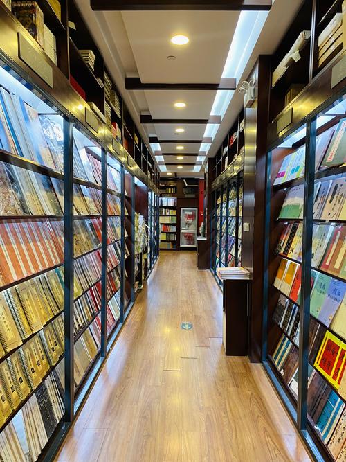 我好像遇到了救星电视剧 我好像遇到了救星电视剧