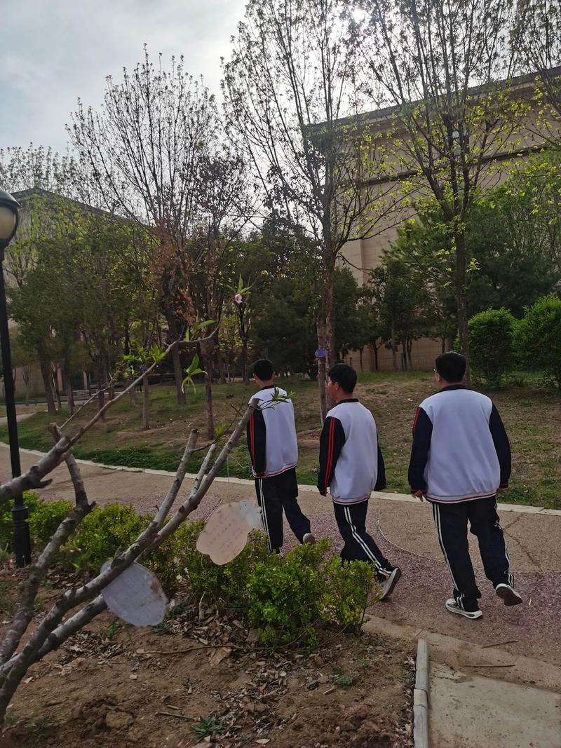 双非70分成功申请澳洲名校 双非70分成功申请澳洲名校