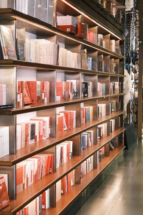 麻雀电视剧演员都是谁