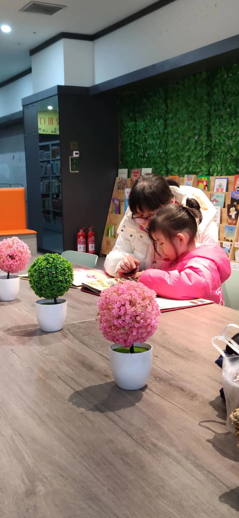 明星留学新西兰的院校揭秘