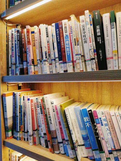 台湾名模林志玲简历 台湾名模林志玲简历图片