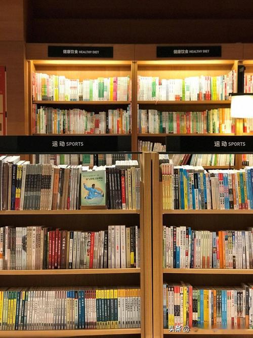 留学荷兰硕士阶段花费是多少？