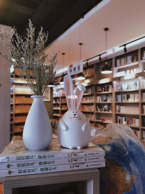 加拿大撤签是否会导致拒签记录？