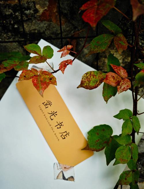 英国雅思6.5分可以申请的大学详细指南