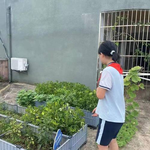 演员施京明的近况怎么样 演员施京明的近况怎么样