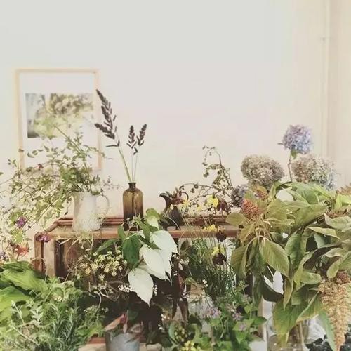 留学or被留学？专业和就业哪个更重要