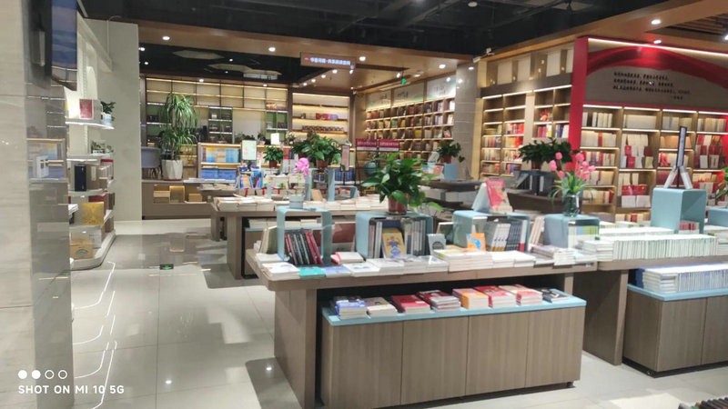 张东健和蔡琳合作的电视剧