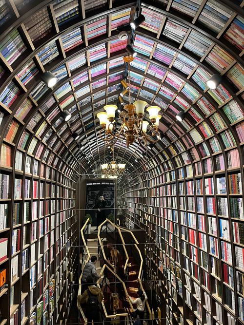 法国-QS全球商科硕士排名（专业排名）