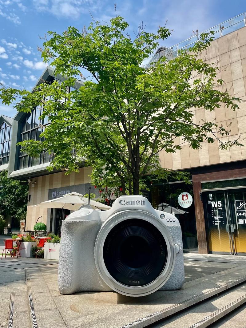 双塔食品泰国子公司生产线建成投产