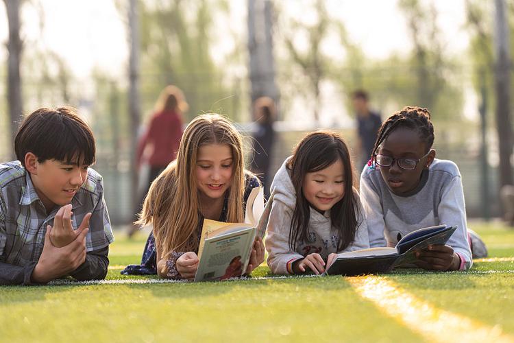 悉尼全方位最新交通攻略，2025入学飞起来！