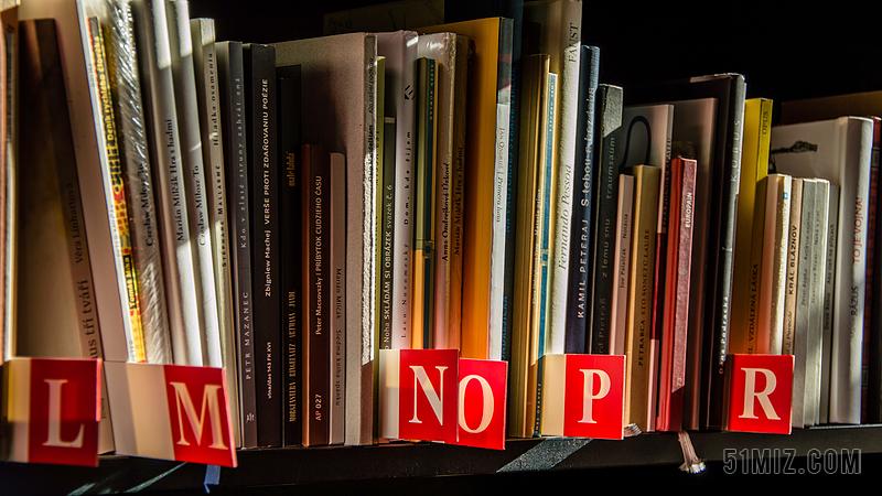 留学郑长健-郑长海简历