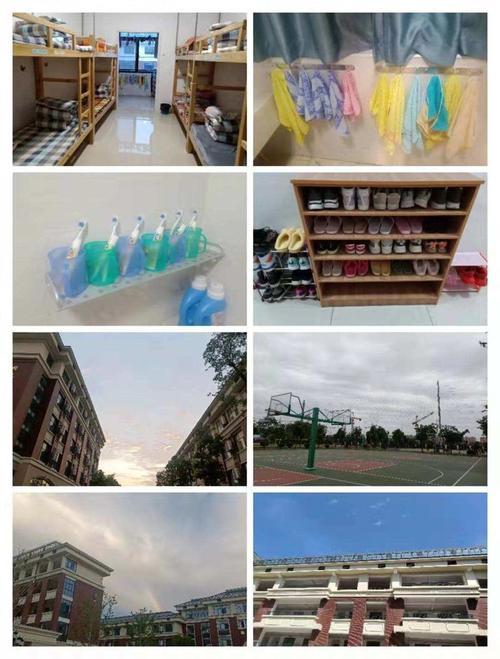 澳门科技大学—資訊科技學院（本科）