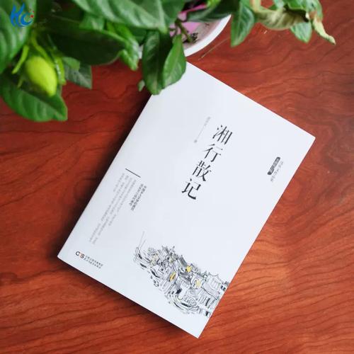 秦岚方中信演过的全部电视剧