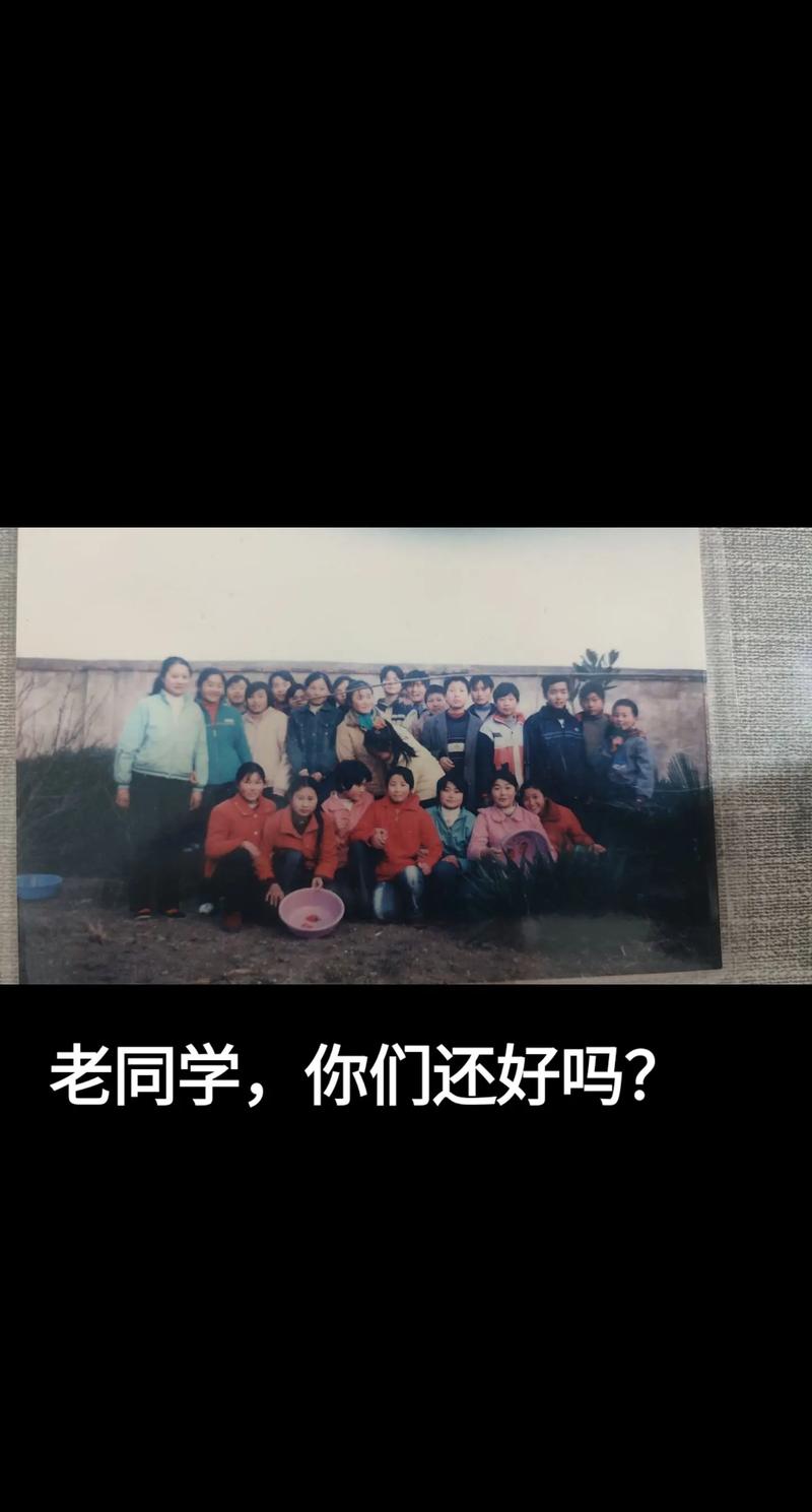 为何疯狂动物城2票房破10亿 年轻人集体出逃