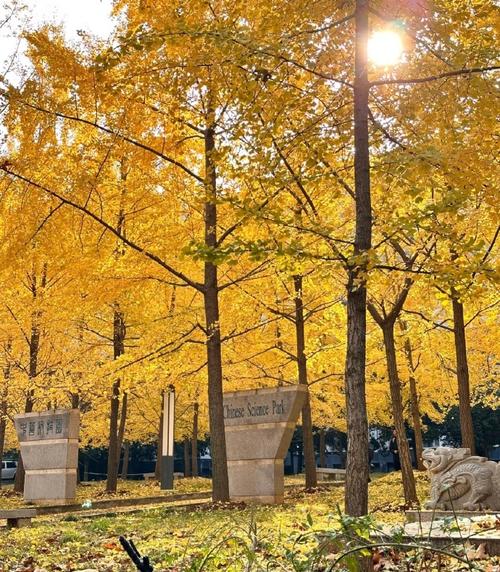 胡慧中歌曲分离之恨 胡慧中歌曲分离之恨