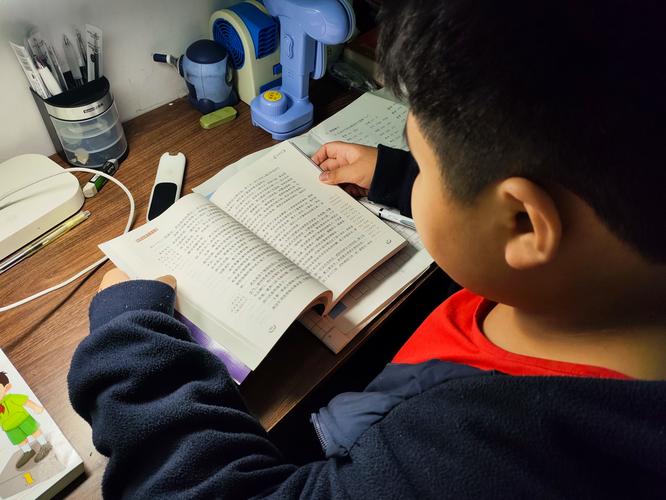 新西兰留学之怀卡托大学热门专业