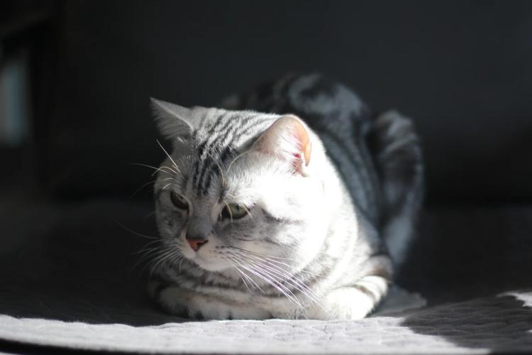 在日本留学可以去哪打工？