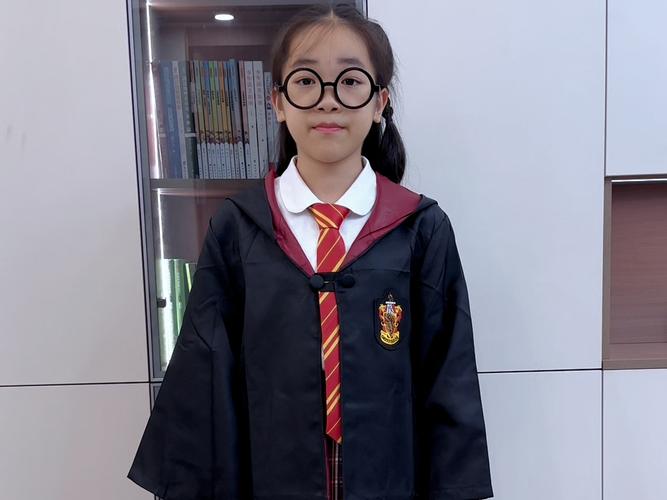 案例协助留学博士两次拒签成功后获签