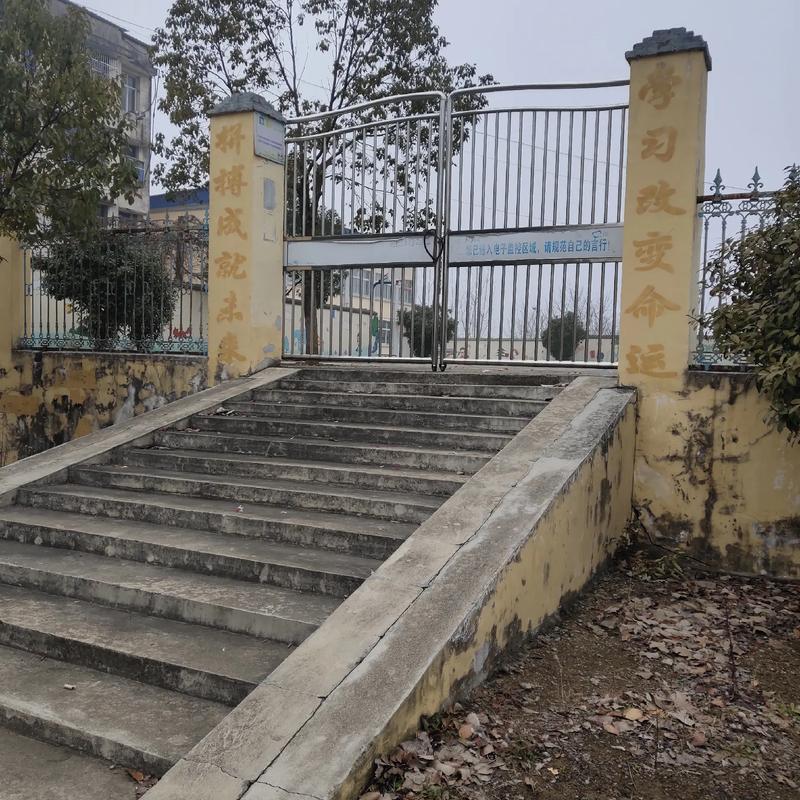 我是大明星2013冠军