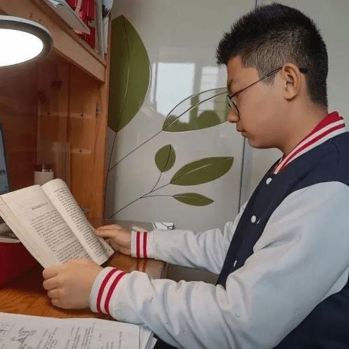 文书准备-无语言提交申请拿录取 文书准备-无语言提交申请拿录取