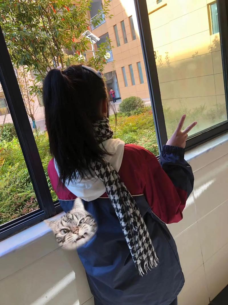 留学瑞典信息大起底