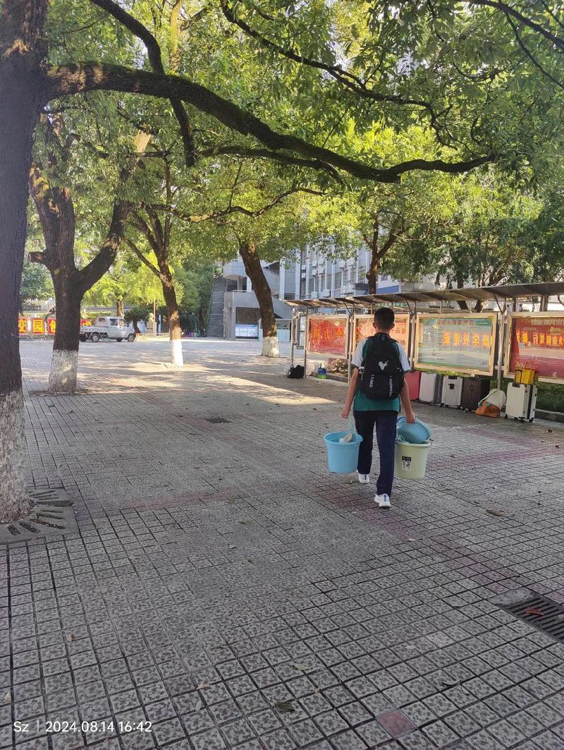 演员陈紫函个人资料简介