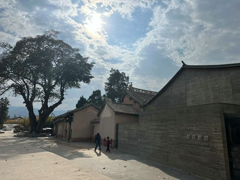 中国新能源汽车加速智能化 竞逐低空智慧交通新赛道