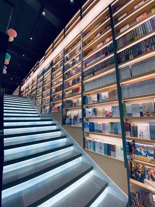 韩国桑德兰大学本科