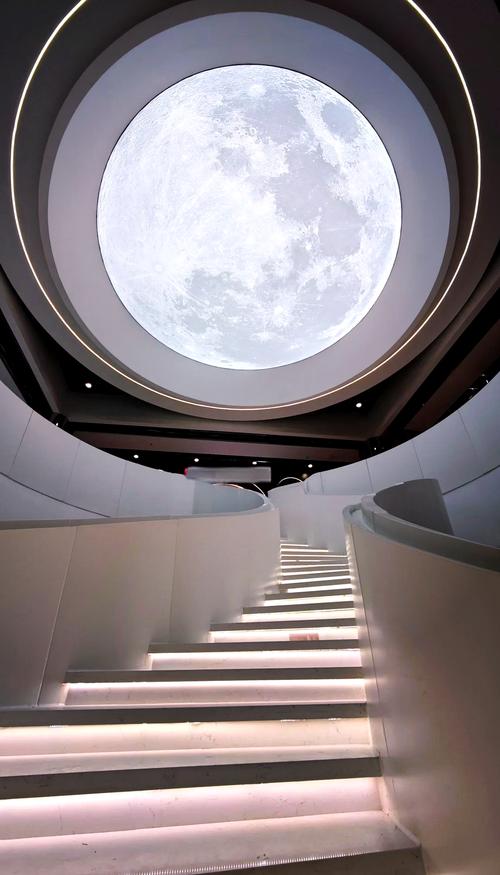 娟儿出国留学 娟儿出国留学是哪一集