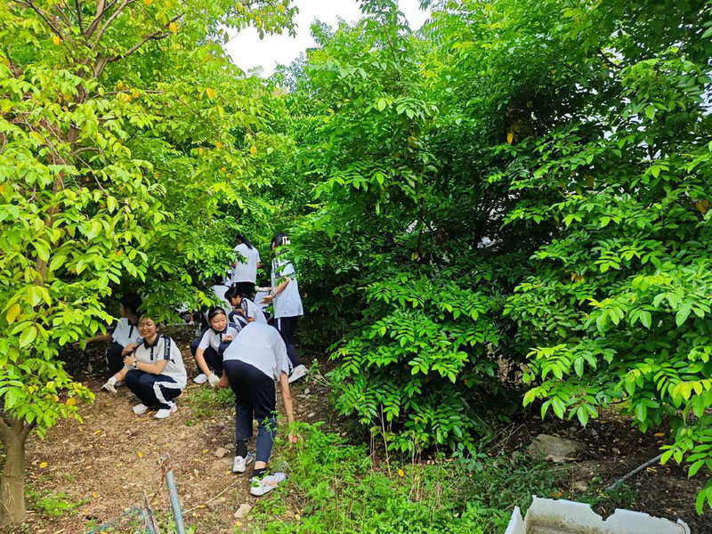 何炅毕业于哪个学校 何炅哪儿毕业的