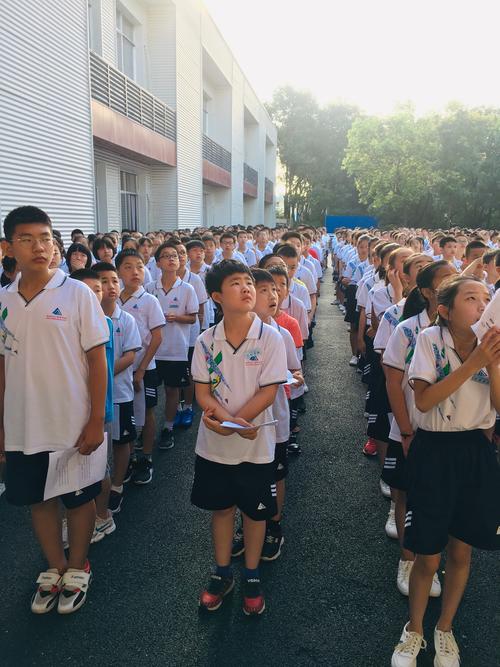 宋佳个人详细资料大宋佳