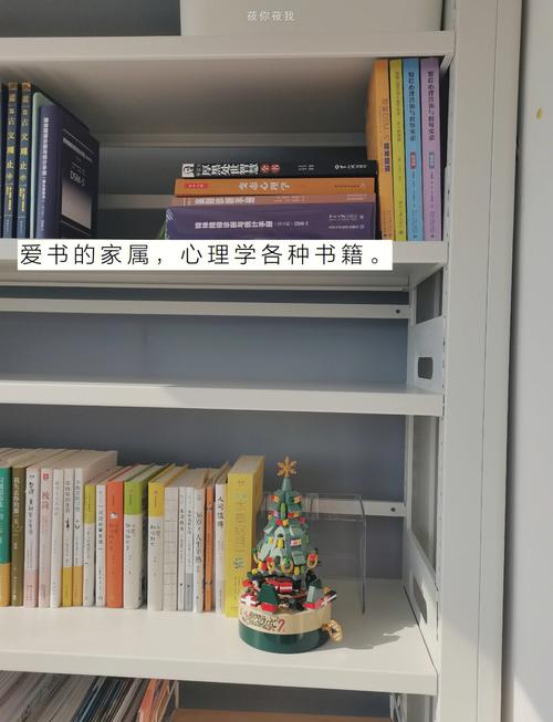 曼彻斯特大学地理位置