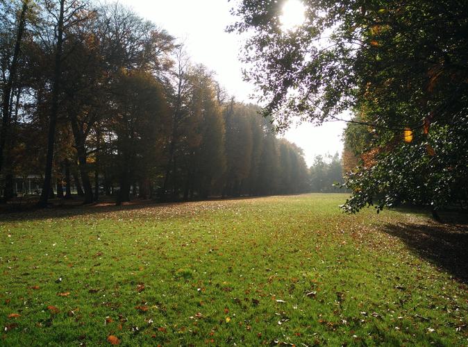 留学挪威的流程一览 留学挪威的流程一览