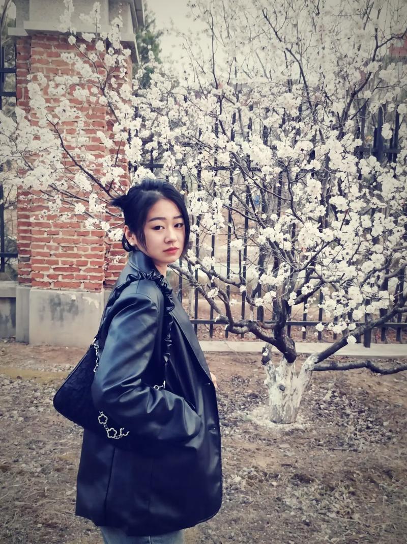 为了获取德国签证应当做什么样的准备？