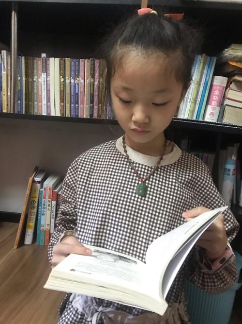 欧洲城堡的皇冠新天鹅堡