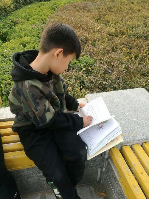 太极图 太极图的秘密