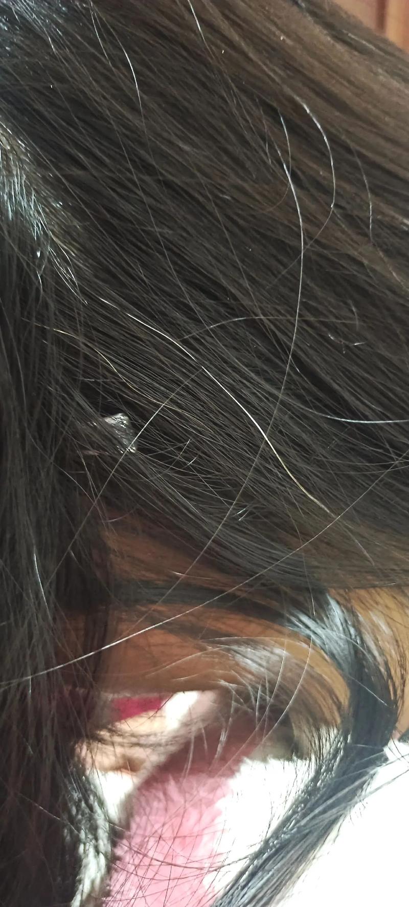 加拿大麦克马斯特大学和达尔豪斯大学对比分