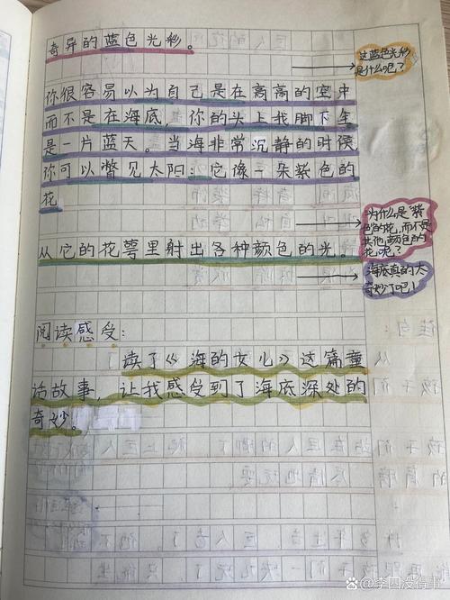 何洁真正是哪里的人 何洁是谁 