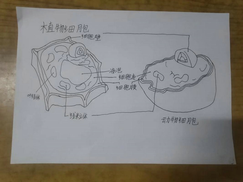 法国留学申请条件全解析 法国留学申请条件全解析