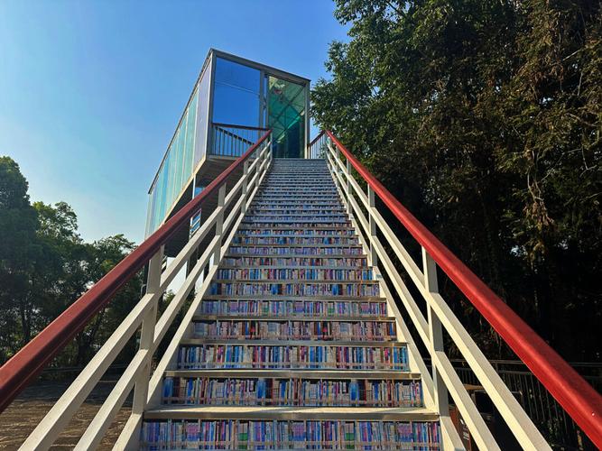 出国留学泪目_出国留学什么感受