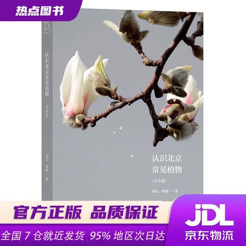 我们对荷兰大学有哪些误区呢?
