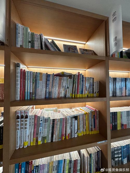 灵活入学途径带你走进南昆士兰大学