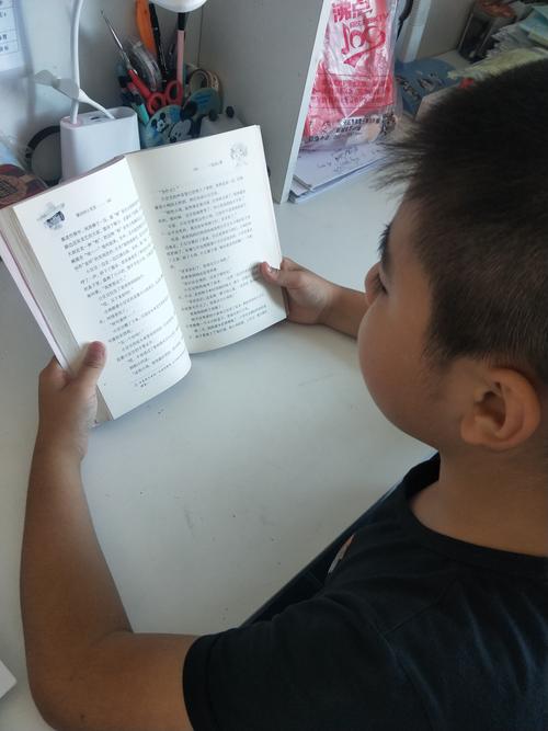 海贼王一番赏 一番赏海贼王100周年lastone