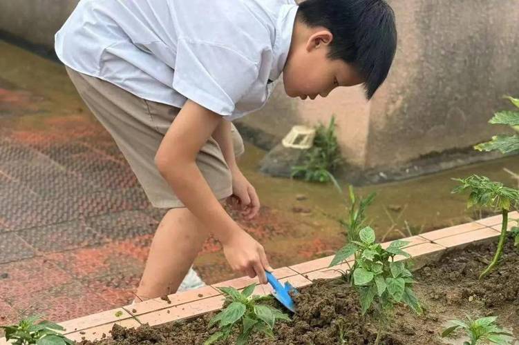 陆左出国留学(陆左的儿子)