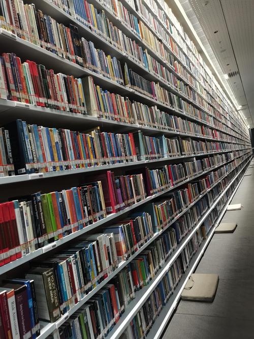教师出国留学单位意见