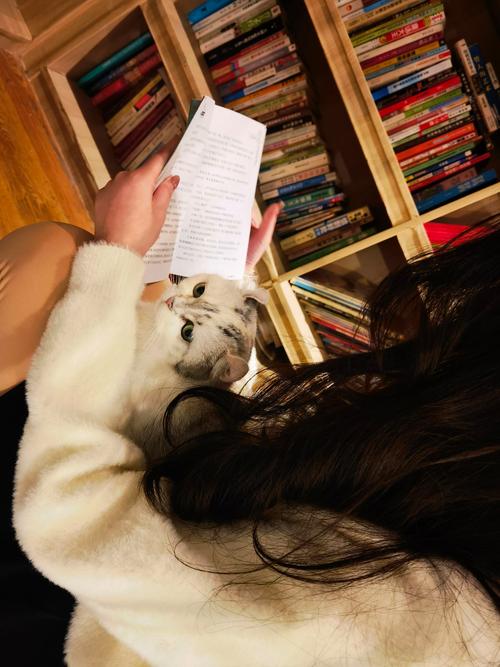 徐熙媛老公个人资料简介